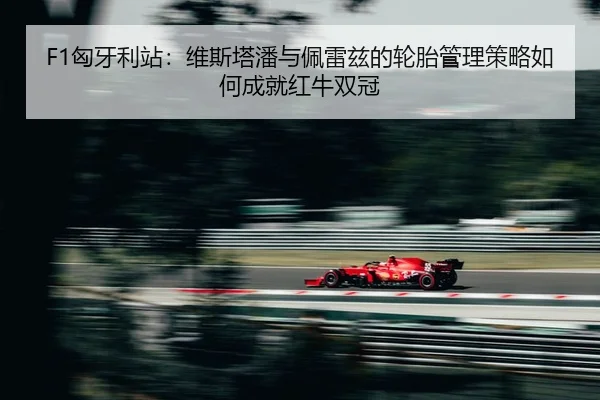 xiong-ya-li-zhan-wei-si-ta-pan-yu-pei-lei-zi-de-lun-tai-guan-li-ce-lve-ru-he-cheng-jiu-hong-niu-shuang-guan-2-297.jpg