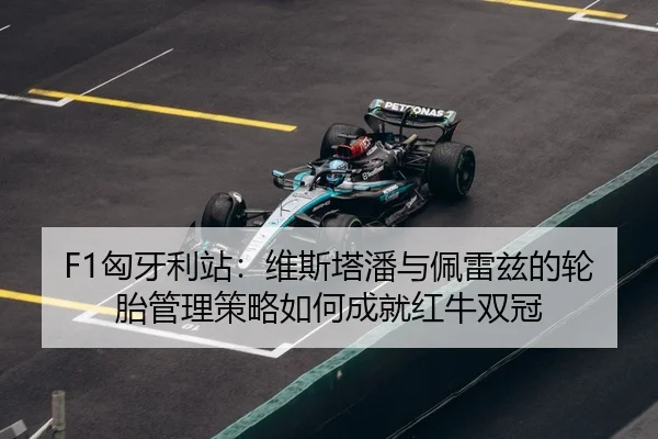 xiong-ya-li-zhan-wei-si-ta-pan-yu-pei-lei-zi-de-lun-tai-guan-li-ce-lve-ru-he-cheng-jiu-hong-niu-shuang-guan-3-743.jpg