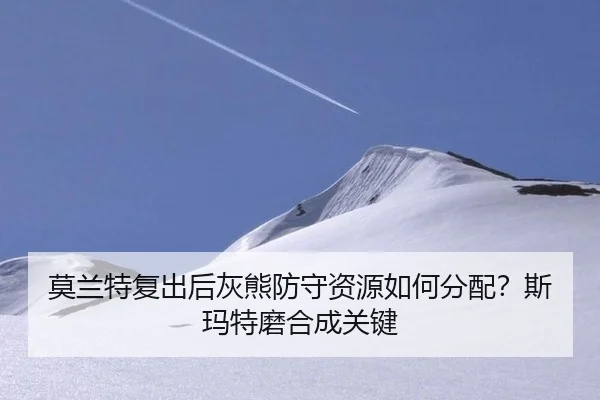 莫兰特复出后灰熊防守资源如何分配？斯玛特磨合成关键